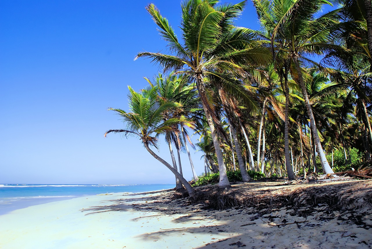Dominican republic Beach